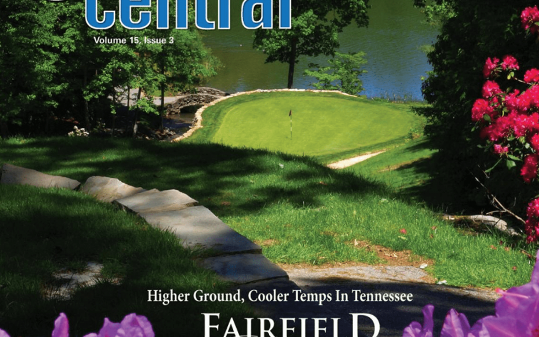 Vol 15 – Issue 3
